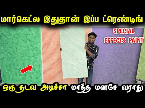 மார்கெட்ல  Trending-ஆன Special effects paint | Best Paint for home | home painting ideas for home