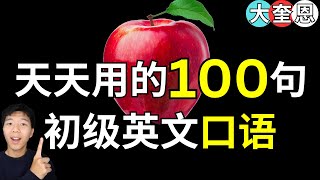 天天都用的100句英语短语，学会了很有用/学英语初级超常見句子 大奎恩英文