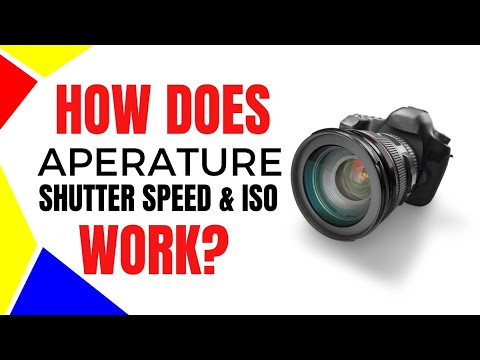 How Does Aperature, Shutter Speed and ISO Work?