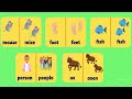 Exploring Irregular Plural Nouns in English