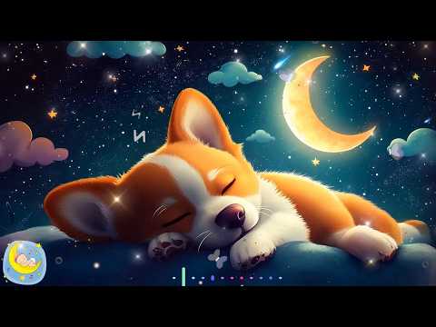 Canciones para Dormir Bebés en 5 Minutos #405 Música para Dormir Bebés y Relajarse,Mozart para Bebes