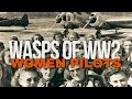 WASP History and Contributions