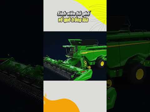 sinh viên về quê trồng lúa #shorts