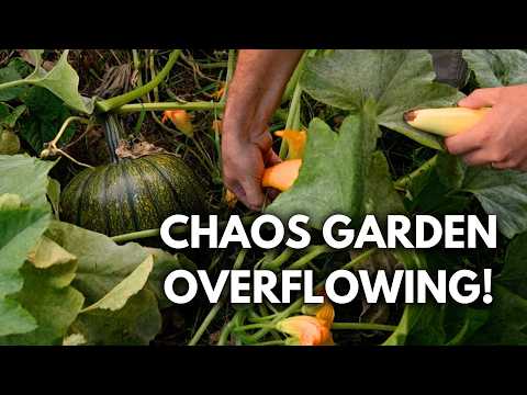 We Tried Chaos Gardening and Were SHOCKED at The Results