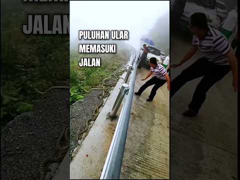 Pertanda Apakah ini??