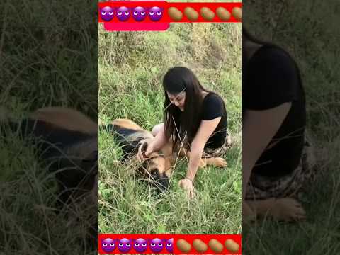 Training of my son #funny_video #funny #funny_dog