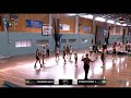 Understanding the Video Tutorial