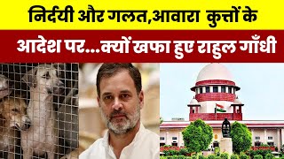 ‘निर्दयी और गलत’, आवारा कुत्तों के आदेश पर Rahul Gandhi ने क्या कहा? Supreme court on stray dogs