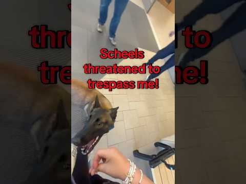 #subscribe #malinois #police #scheels #colorado #servicedog #viral #wrong #fyp #servicedogintraining