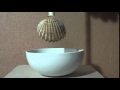 Sukiyaki Preparation Steps