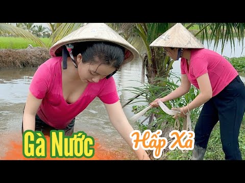 Cô Gái Quê ✅ Ra Kênh Bắt Gà Nước về Hấp Xả món Ngon cho ai chưa Từng thử khi đến với Miền Tây