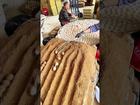 Traditional Century Egg Production Process โ Good tools and machinery make work easy