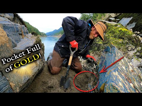 SO MUCH GOLD! in one little pocket.