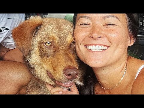 Unwanted dog is so happy after adoption