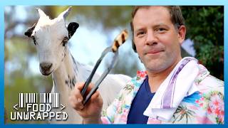 The Science of Squeaky Cheese: Why Halloumi Doesn't Melt | Food Unwrapped