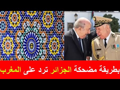 كترت الهم كضحك.. بسبب الزليج المغربي الجزائر ترد