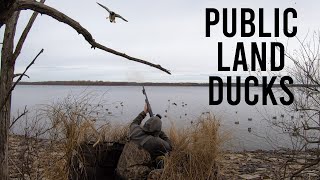 THIS is Why I Love Public Land Duck Hunting