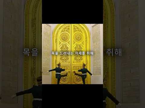 군인 인사인데 왜 이렇게 무섭지