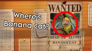 Where is Banana Cat? Cat Cartoon