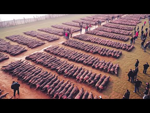 Дрон Снял Такое, Что Никто не Должен Был Увидеть