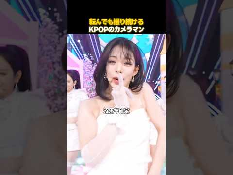 10kgカメラを持って全力疾走する理由