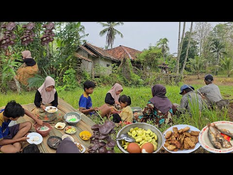 Manjat Pohon Metik Jengkol Muda, Botram Ditengah Sawah Nasi Akeul Sambel Terasi Asin Peda