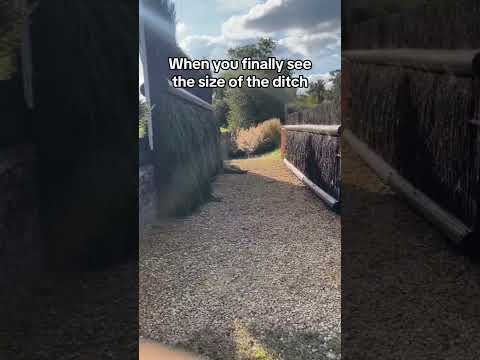 This Ditch! I hate it! It's for People's Entertainment, not Ethical Horsemanship | They Are OK