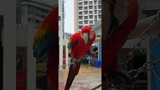 Clementi Bird Park-2