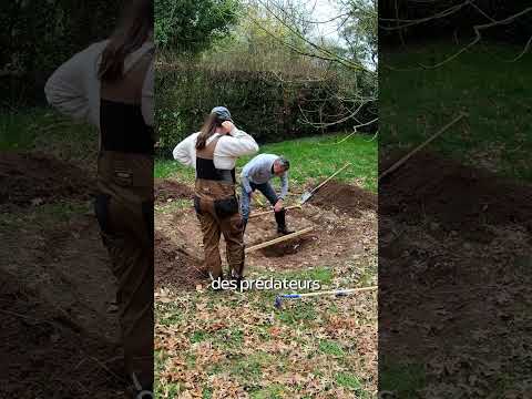 J'ai construit une 2ème mare pour les animaux sauvages 🐸