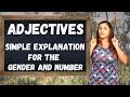 Exploring Spanish Adjectives and Their Agreement