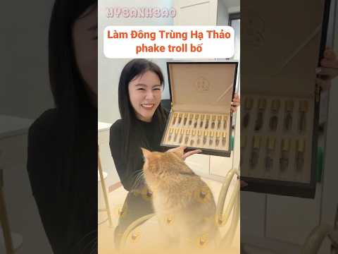 Làm Đông Trùng Hạ Thảo phake troll bố | My Bánh Bao #shorts #haihuoc