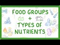 Exploring Nutrient Functions: Carbohydrates, Lipids, Proteins, and More