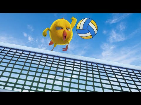 Chicky hace Beach-Volley 🏐 ¿Dónde está Chicky? | Colección dibujos animados para Niños