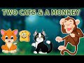 The Tale of Two Cats and a Monkey