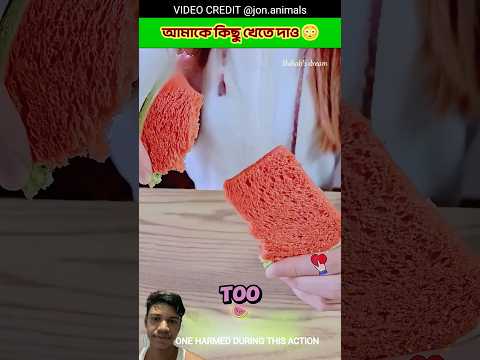 ওগো মা #islamic #shortvideo #banaraslitfest #viralvideo #trending #video #foryou #tunehut #নবীজী