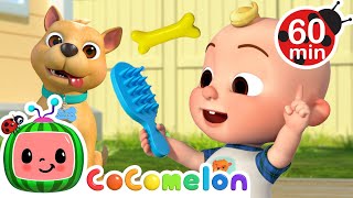 This is the Way Doggie Care! 🐶🦴 Fun Animal Songs + CoComelon Nursery Rhymes for Kids 🎵🍉