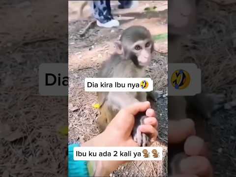 di kira yg pegang tangan emak nya