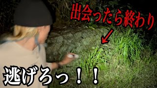 絶対に出会っては行けない猛毒ヘビと遭遇しました
