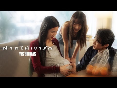 ฝากให้เขารัก - Yes'Sir Days「Official MV」