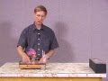 Exploring Newton's First Law in Car Motion