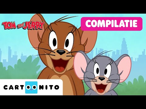 Wild chase in New York City! | Megamarathon Tom and Jerry in New York | Cartoonito