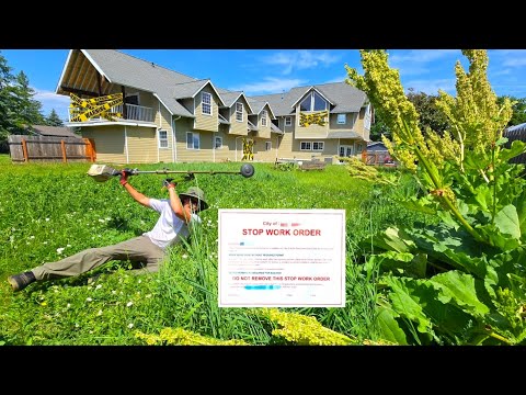 City Raids $1.2m Mansion TWICE, You Won't Believe What They Were Doing INSIDE!