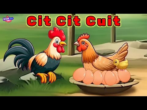 Cit cit Cuit - Lagu Anak Viral Populer Dan lagu lainnya