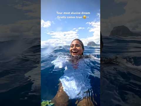 Swimming with HUMPBACK WHALES &nbsp;in the deep blue ocean &#128557;♥️ #freediving #diving