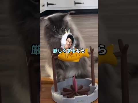 【スカッと】「８時に登校して読書タイム！」といった前田さんは勝負を持ちかけて…ｗ