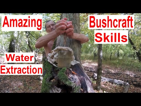 Amazing Bushcraft Skills 🏕🪓 Where to Get Water in the Forest 💦 🌳Wilderness Survival Skills 🔥 Camping