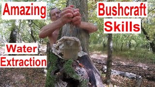 Amazing Bushcraft Skills 🏕🪓 Where to Get Water in the Forest 💦 🌳Wilderness Survival Skills 🔥 Camping