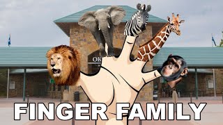 Zoo Animals Finger Family