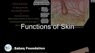 Functions of Skin