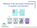 Osmosis and Diffusion Concepts